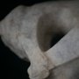 IMG_9196