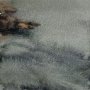 CRW_1967
